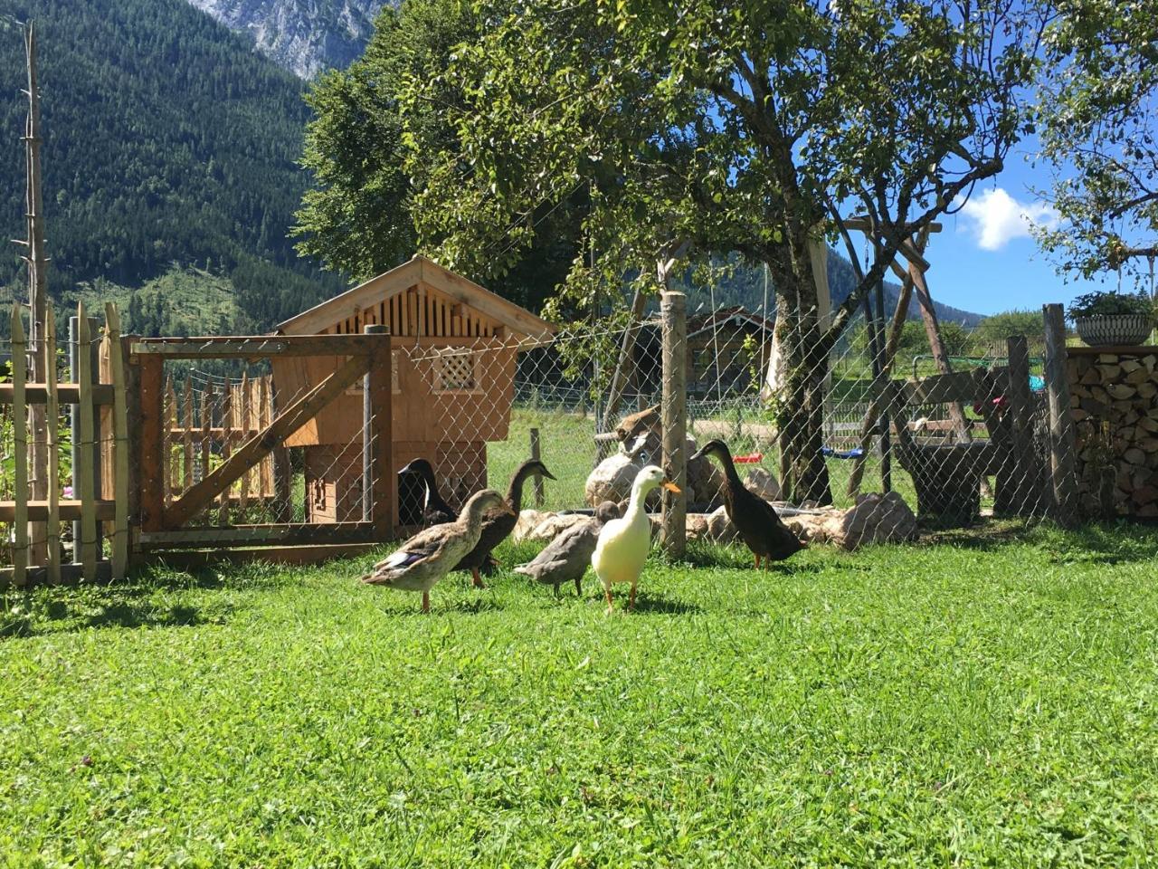 Vorderponholz Ferienwohnungen Ramsau bei Berchtesgaden Exterior photo